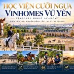 Học viện cưỡi ngựa Vinhomes Vũ Yên | Vinpearl Horse Academy