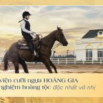 Tầm nhìn Vạn Ngôi Nhà, Vạn Trung Tâm: Vinhomes Royal Island khẳng định đẳng cấp mới