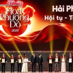 Đảo Vũ Yên chính thức được công nhận là: Khu du lịch cấp tỉnh