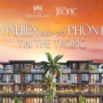 The Tropic | Bản giao hưởng giữa khoảng lặng an nhiên & Nhịp sống phồn hoa