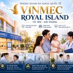 Phòng khám Vinmec Royal Island Vũ Yên | Thông tin chi tiết